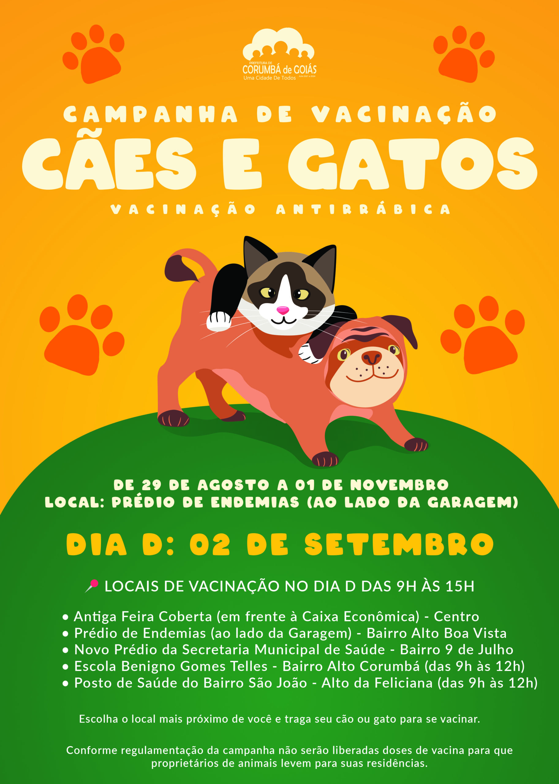 Como Proteger o Seu Gato de Sufocamento – VitalPet Brasil
